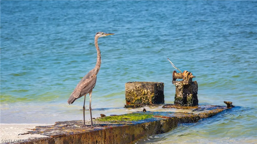 Mourning Dove Drive Upper Captiva, FL 33924