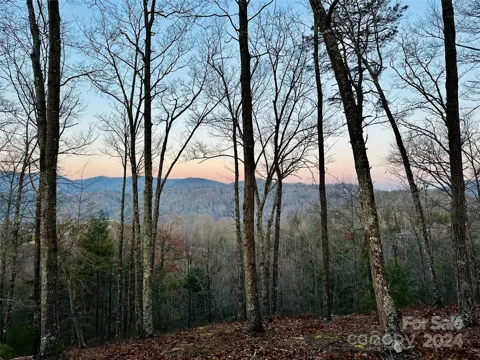 75 Raccoon Run #22
