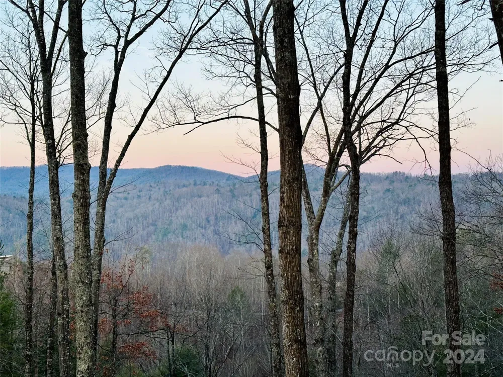 75 Raccoon Run #22 Marshall, NC 28753