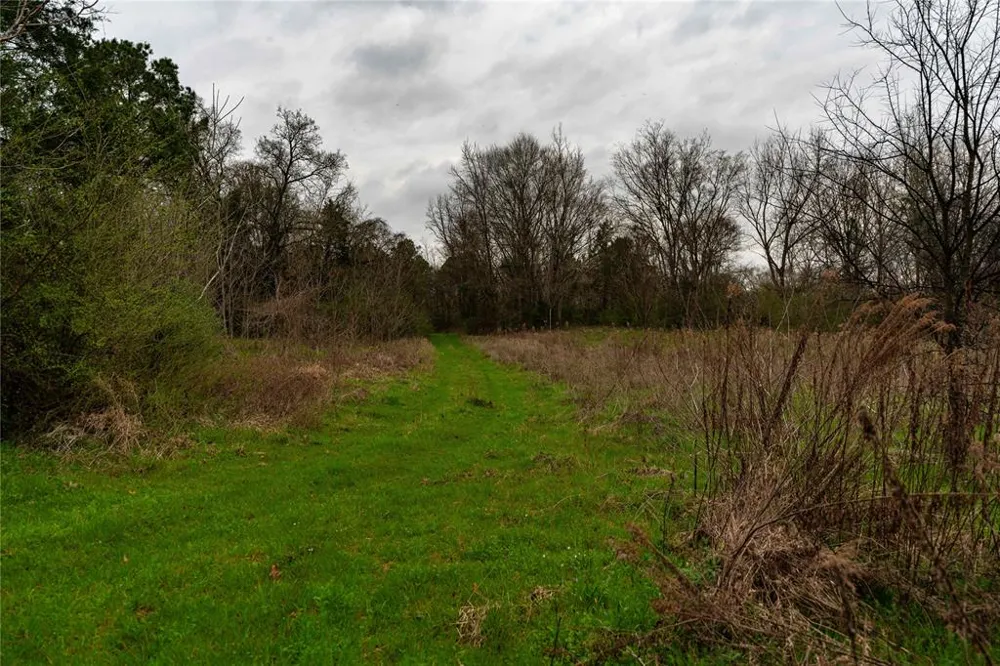 Central Road No City, TX 75686
