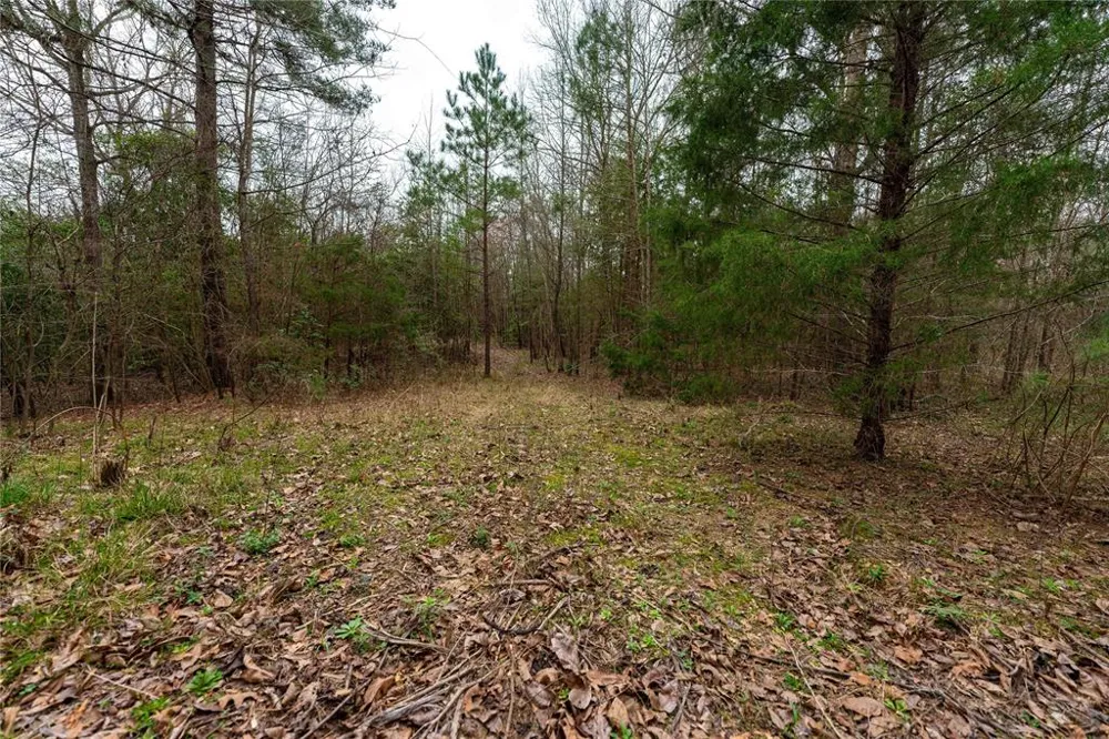 Central Road No City, TX 75686