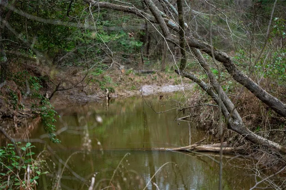 Central Road No City, TX 75686