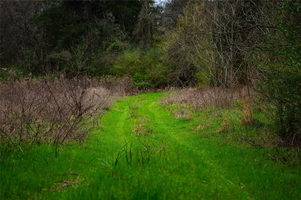 Central Road No City, TX 75686