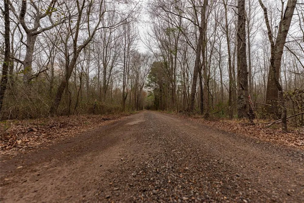 Central Road No City, TX 75686