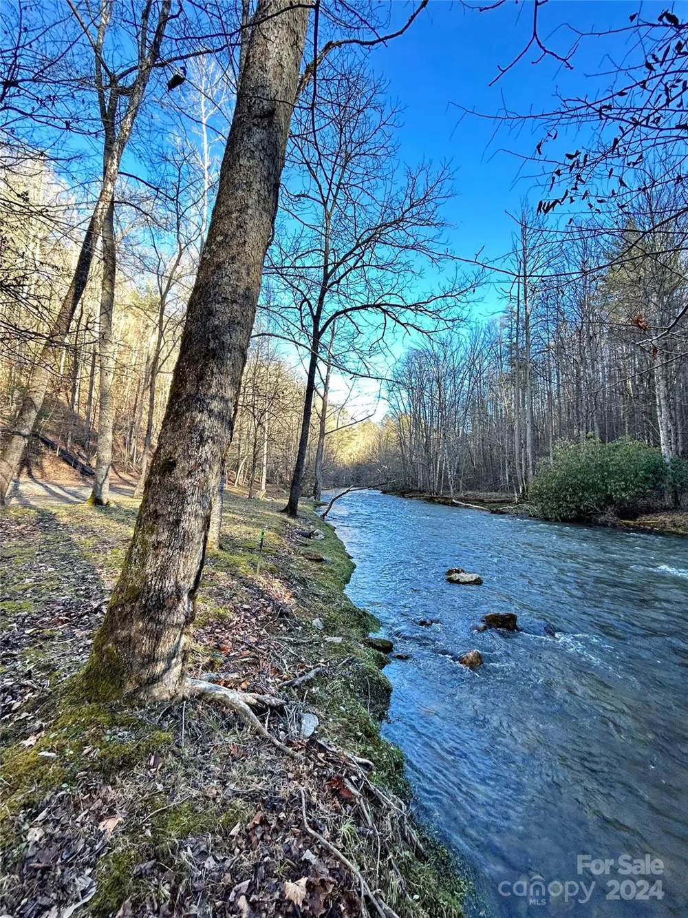 275 Overlook Lane #22 Marshall, NC 28753