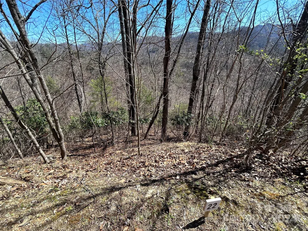 275 Overlook Lane #22 Marshall, NC 28753