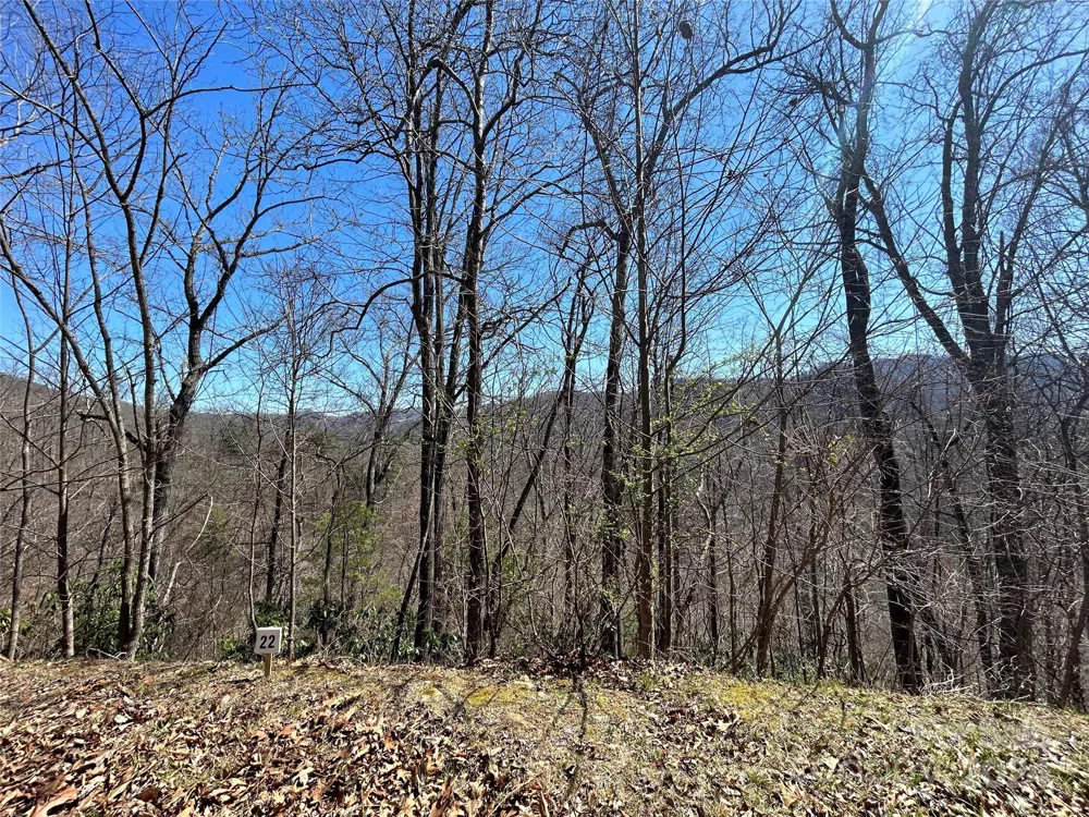 275 Overlook Lane #22 Marshall, NC 28753