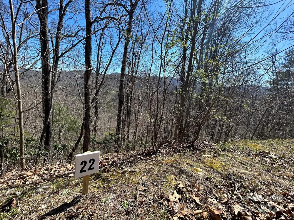275 Overlook Lane #22 Marshall, NC 28753