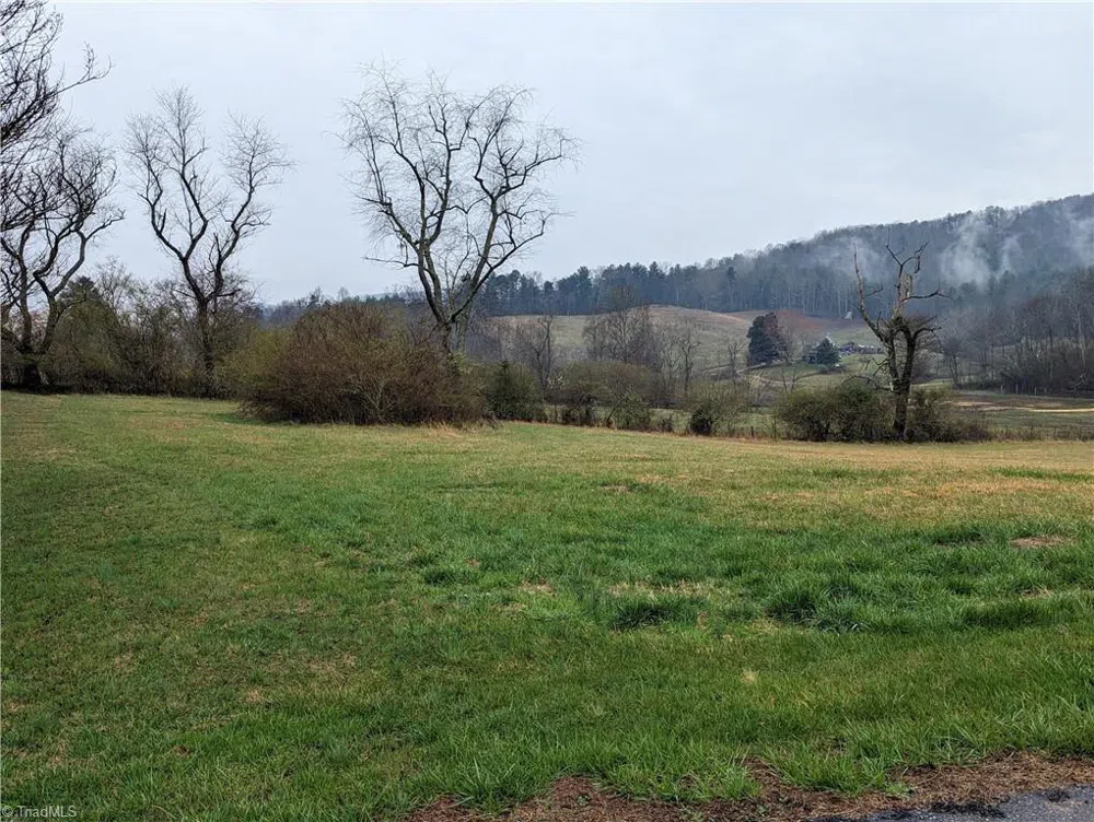 TBD Antler Drive McGrady, NC 28649
