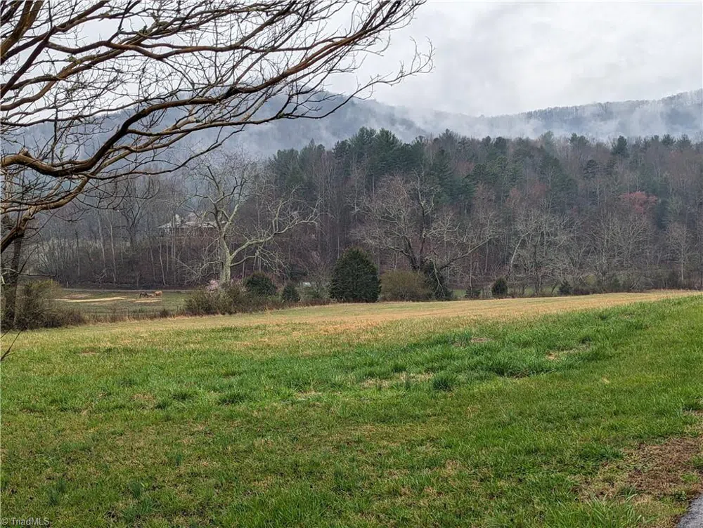 TBD Antler Drive McGrady, NC 28649