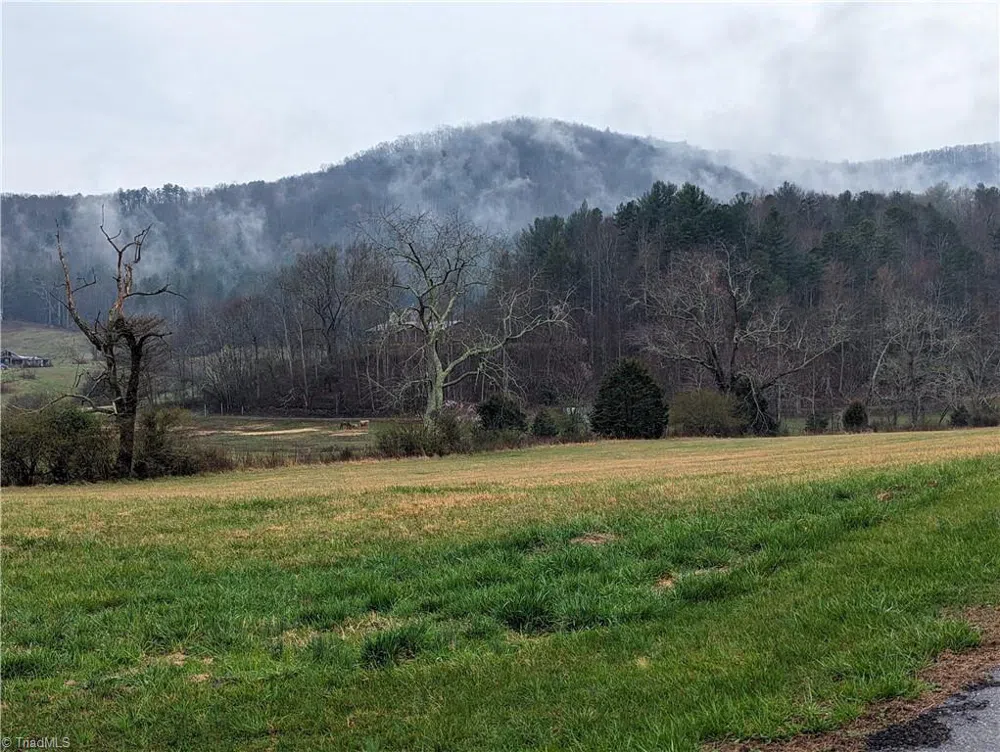 TBD Antler Drive McGrady, NC 28649
