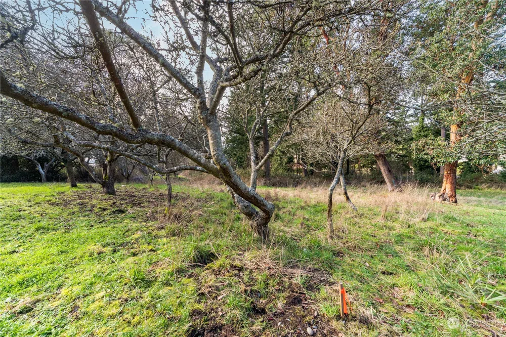 1431 Beech Street Port Townsend, WA 98368