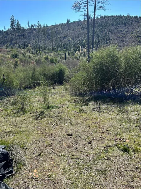 1234 Hog Ranch Rd