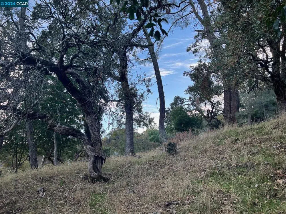 197 Country Club Lane Napa, CA 94558