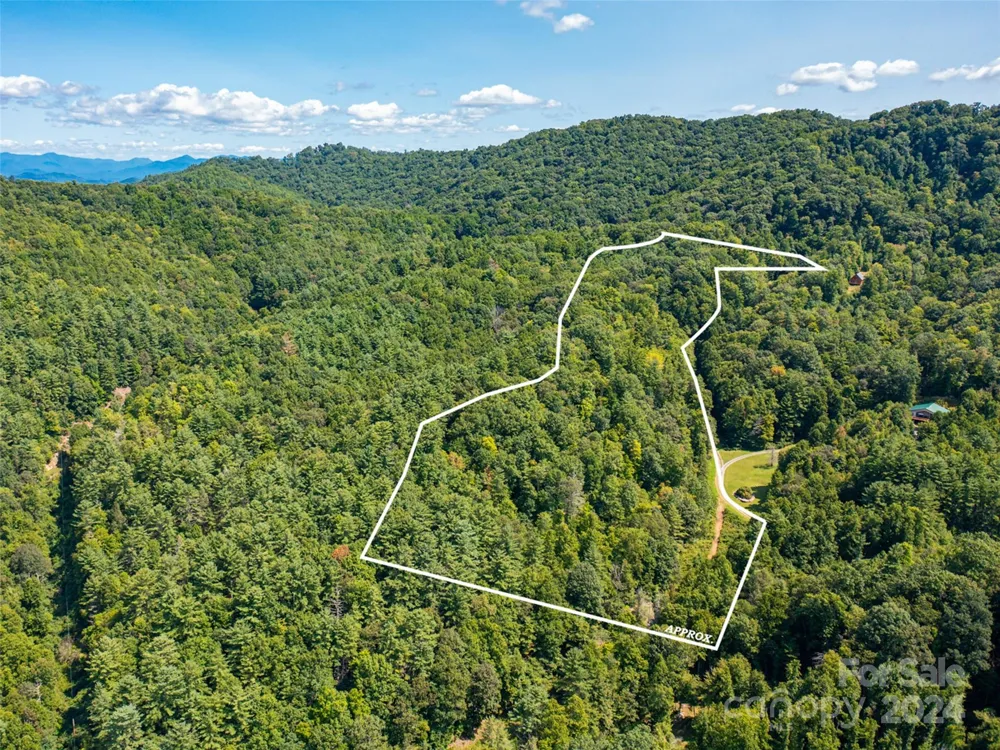00000 Meadow Fork School Road Hot Springs, NC 28743