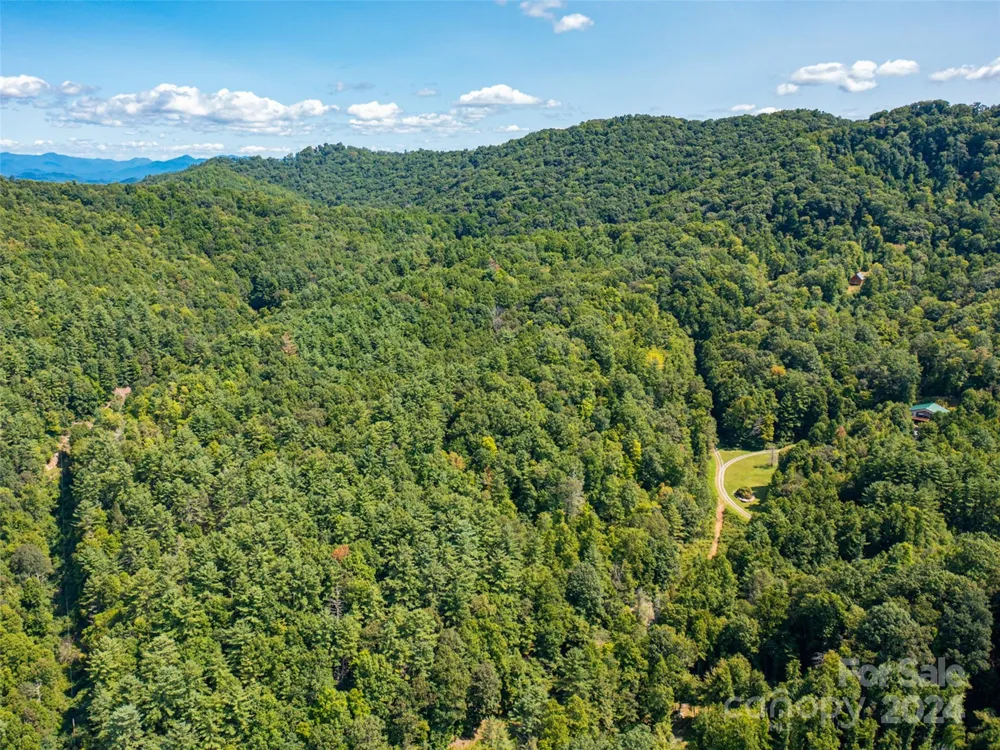 00000 Meadow Fork School Road Hot Springs, NC 28743