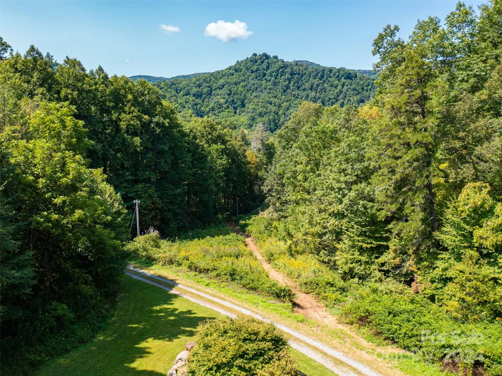 00000 Meadow Fork School Road Hot Springs, NC 28743