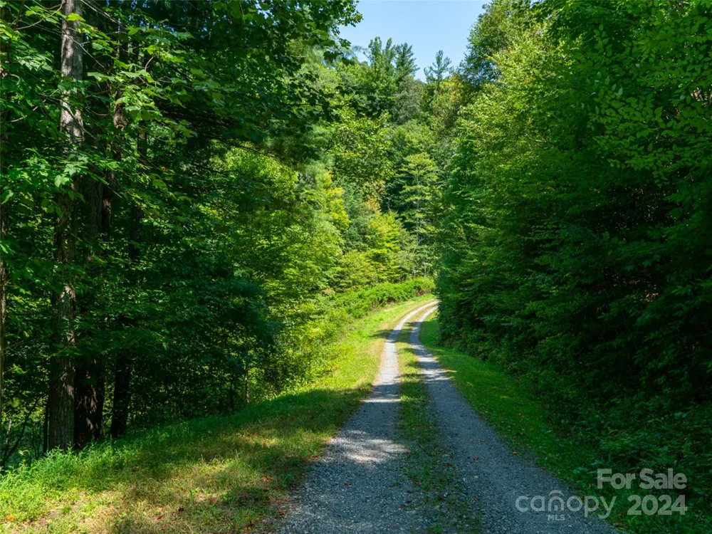 00000 Meadow Fork School Road Hot Springs, NC 28743