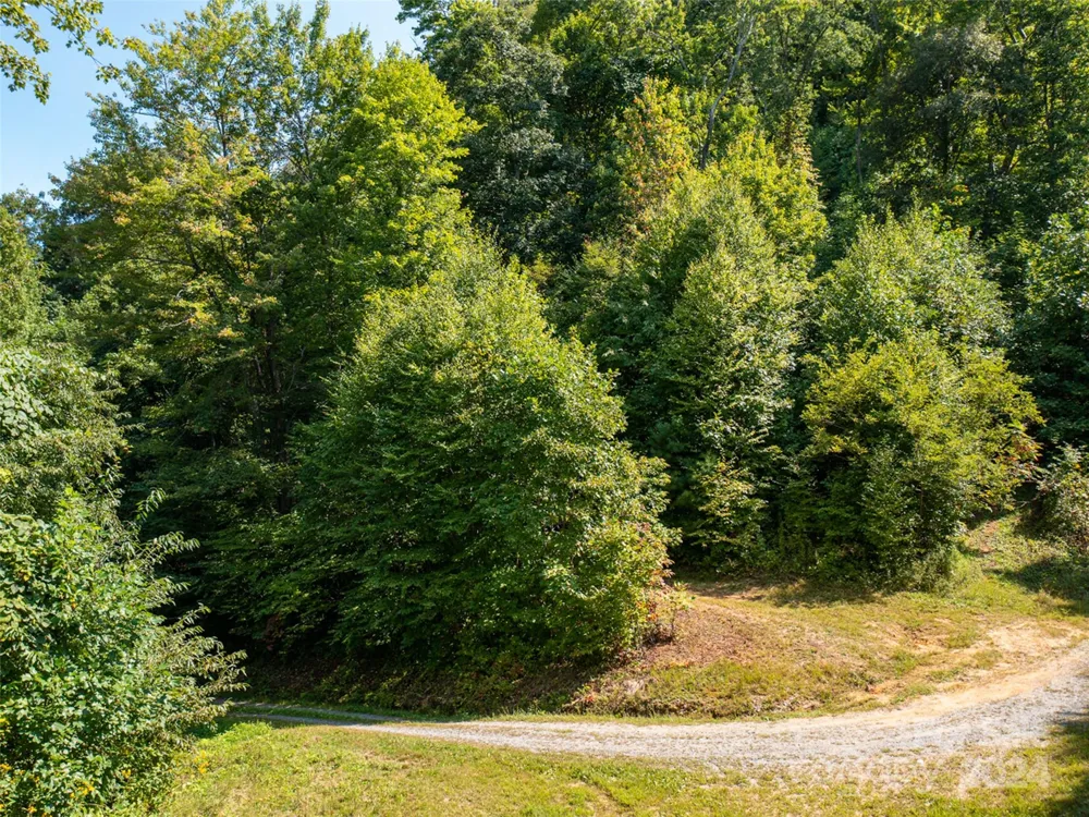 00000 Meadow Fork School Road Hot Springs, NC 28743