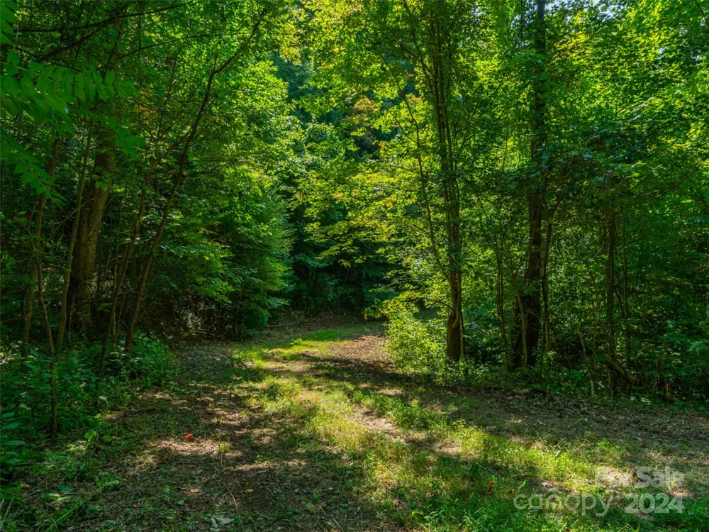 00000 Meadow Fork School Road Hot Springs, NC 28743