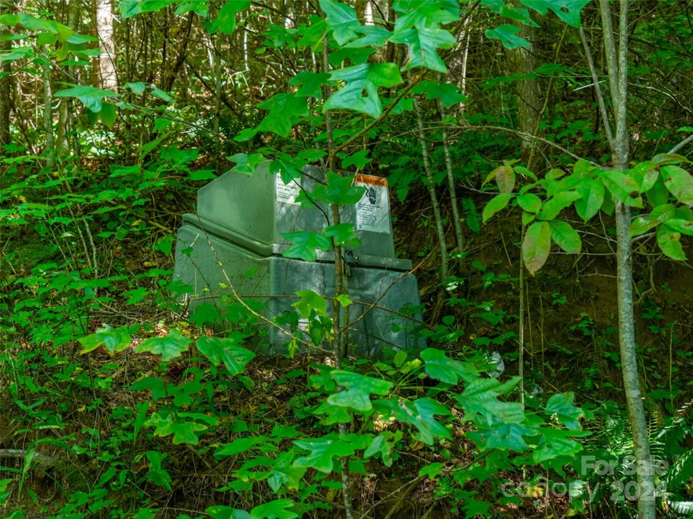 00000 Meadow Fork School Road Hot Springs, NC 28743