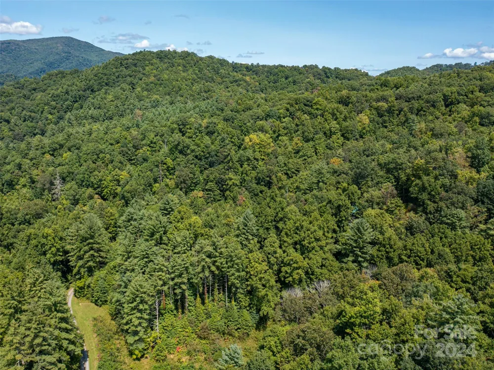 00000 Meadow Fork School Road Hot Springs, NC 28743