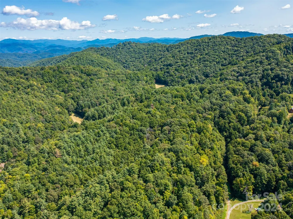 00000 Meadow Fork School Road Hot Springs, NC 28743