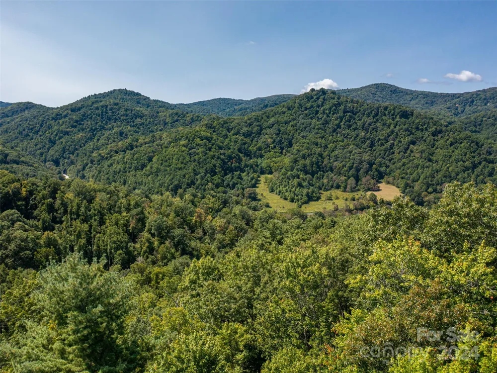 00000 Meadow Fork School Road Hot Springs, NC 28743