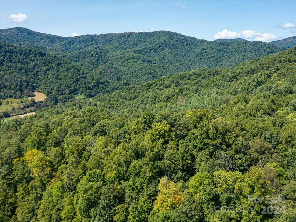 00000 Meadow Fork School Road Hot Springs, NC 28743