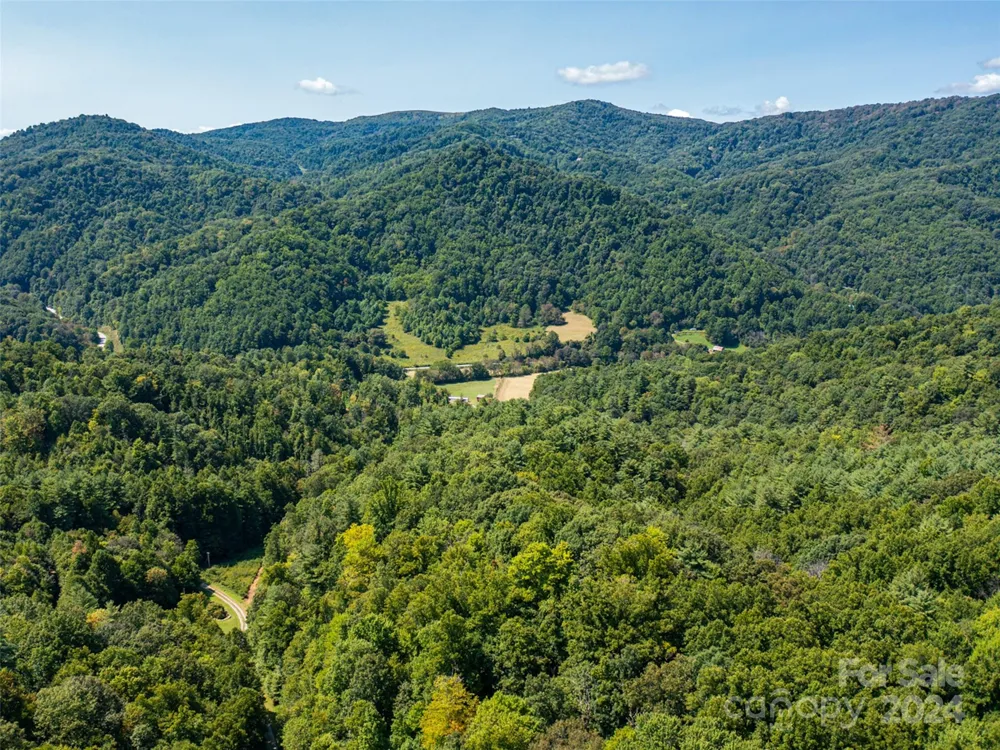 00000 Meadow Fork School Road Hot Springs, NC 28743
