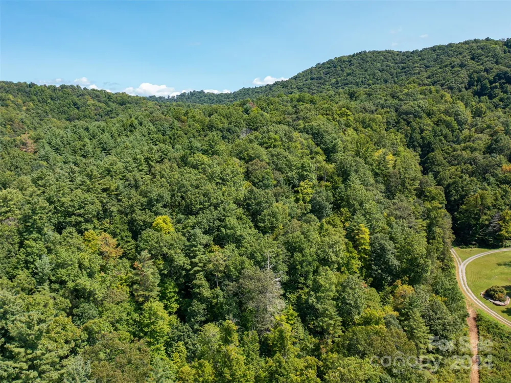00000 Meadow Fork School Road Hot Springs, NC 28743