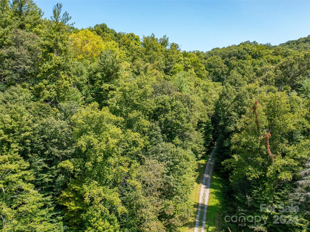 00000 Meadow Fork School Road Hot Springs, NC 28743