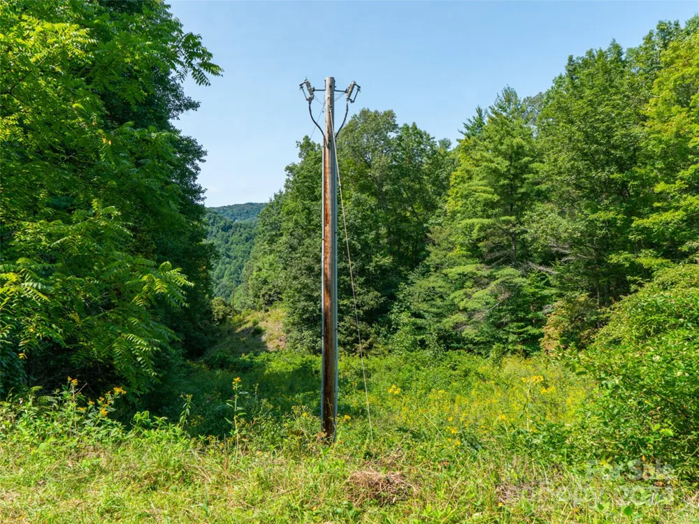 00000 Meadow Fork School Road Hot Springs, NC 28743