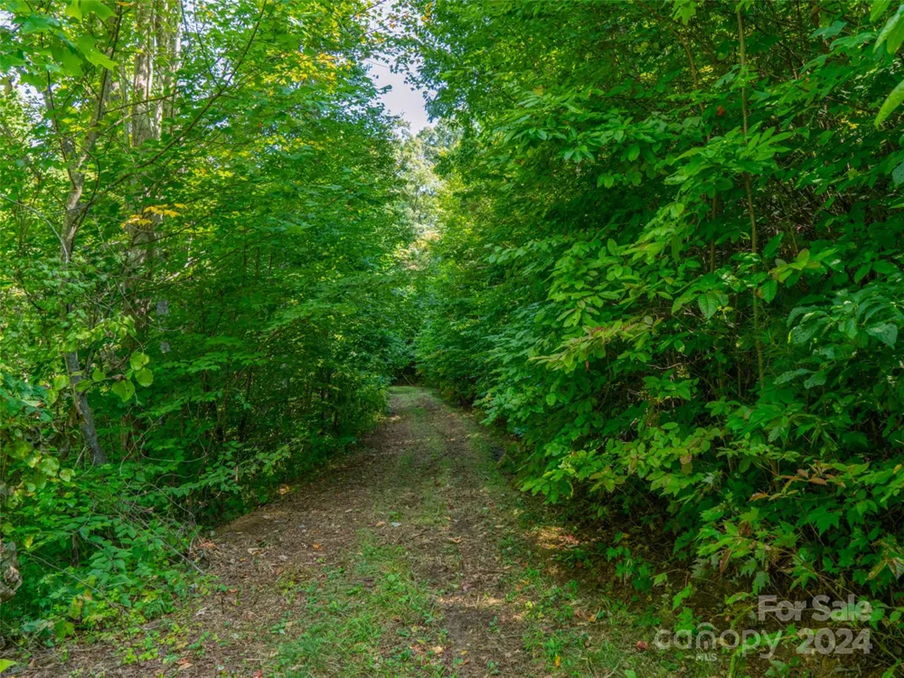 00000 Meadow Fork School Road Hot Springs, NC 28743