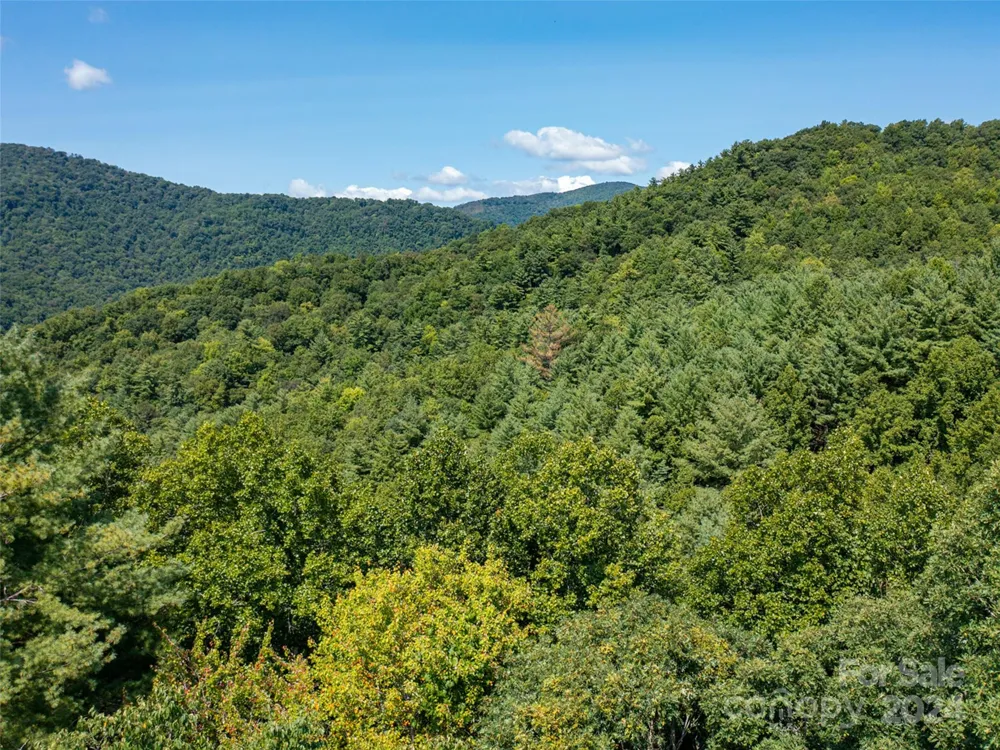 00000 Meadow Fork School Road Hot Springs, NC 28743