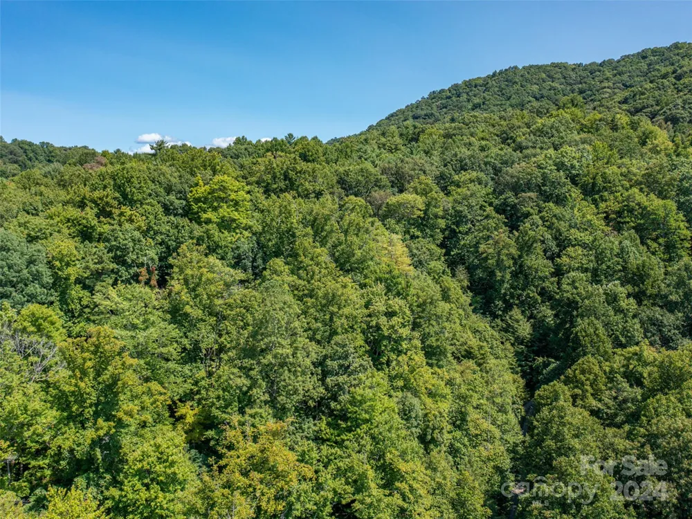 00000 Meadow Fork School Road Hot Springs, NC 28743
