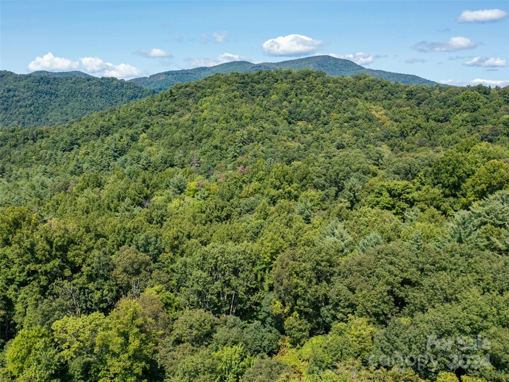00000 Meadow Fork School Road Hot Springs, NC 28743