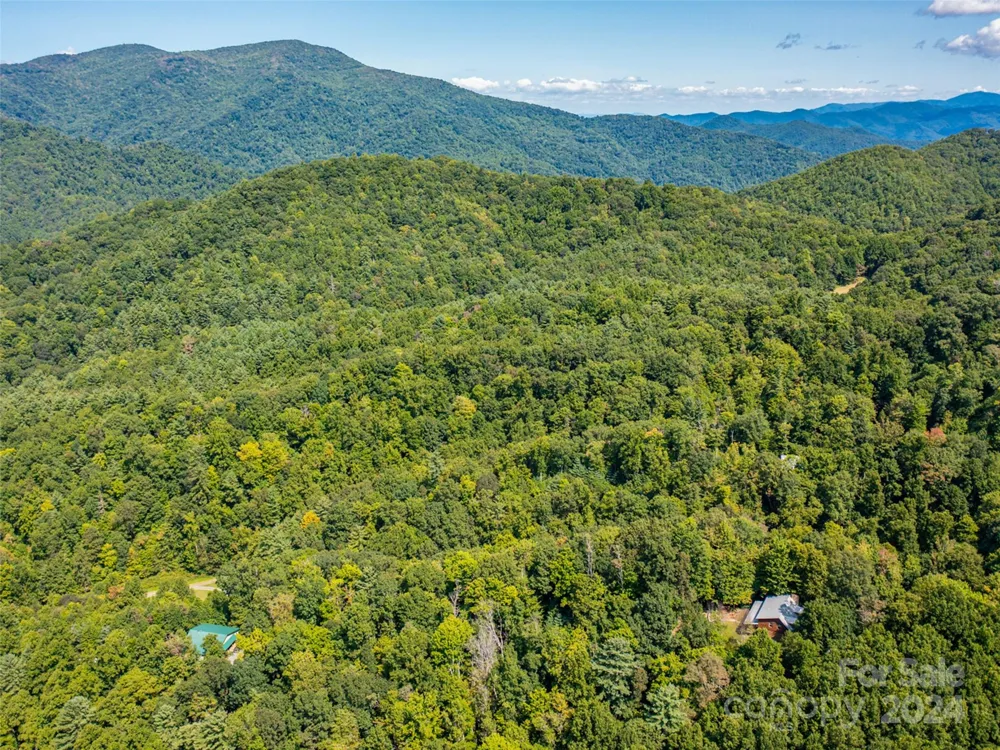 00000 Meadow Fork School Road Hot Springs, NC 28743