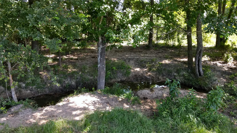 10142 FM 773 Murchison, TX 75778