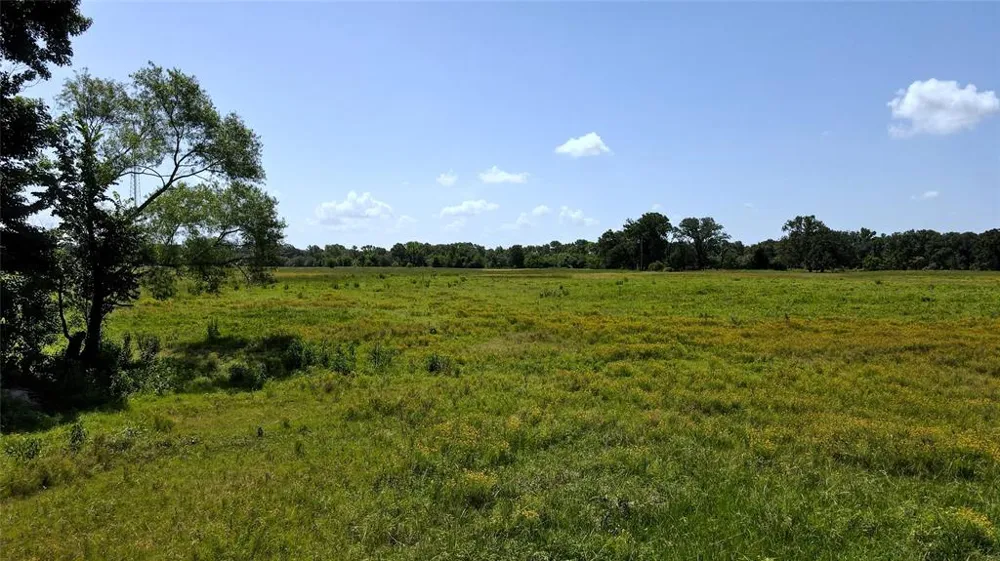 10142 FM 773 Murchison, TX 75778