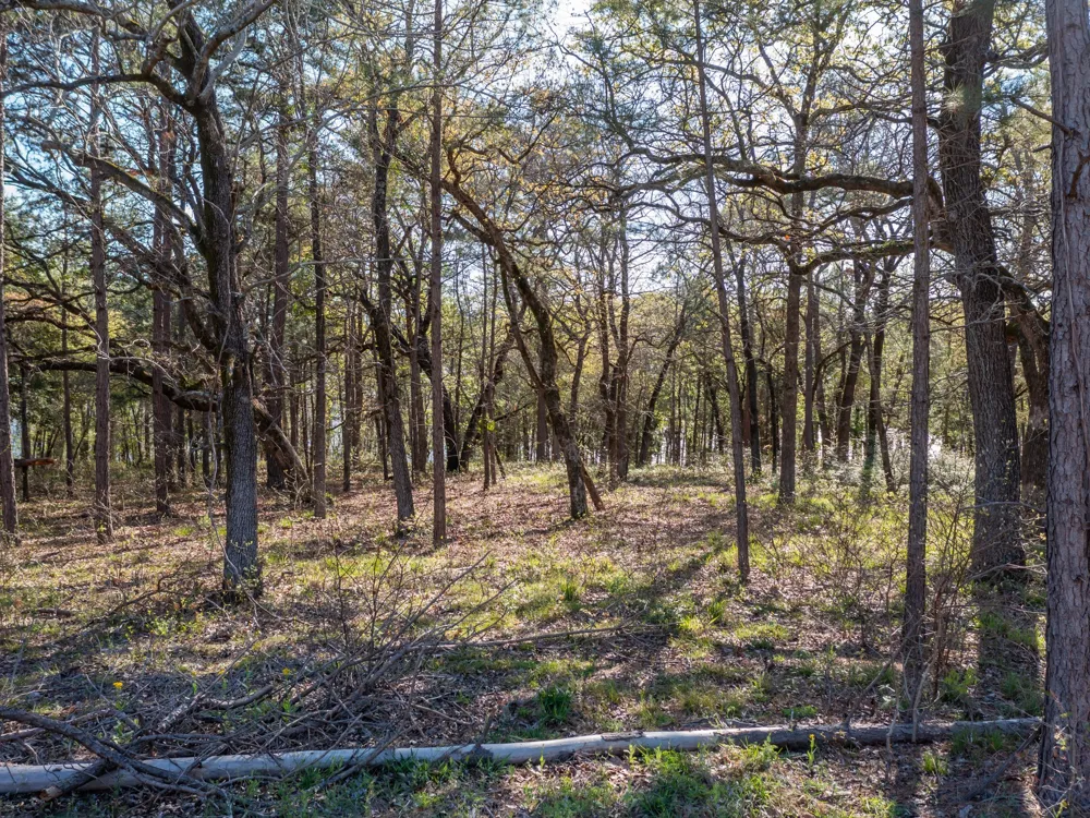 3108 Shadow Pine Drive Larue, TX 75770