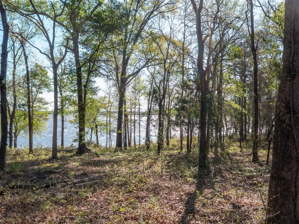 3108 Shadow Pine Drive Larue, TX 75770