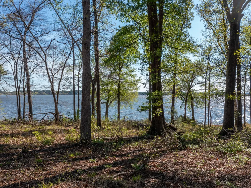 3108 Shadow Pine Drive Larue, TX 75770