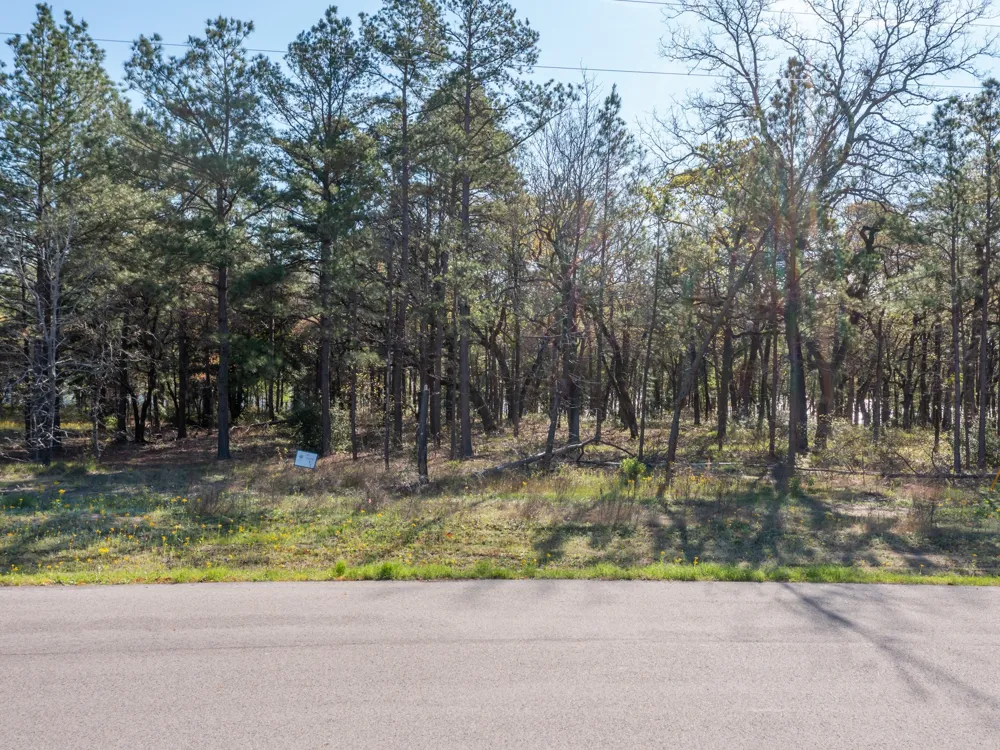 3108 Shadow Pine Drive Larue, TX 75770