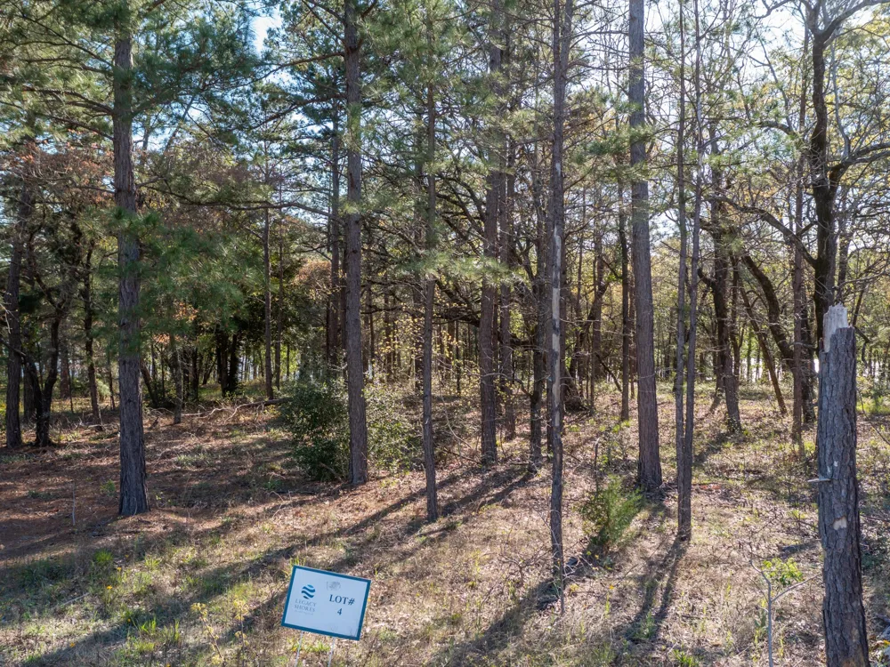3108 Shadow Pine Drive Larue, TX 75770