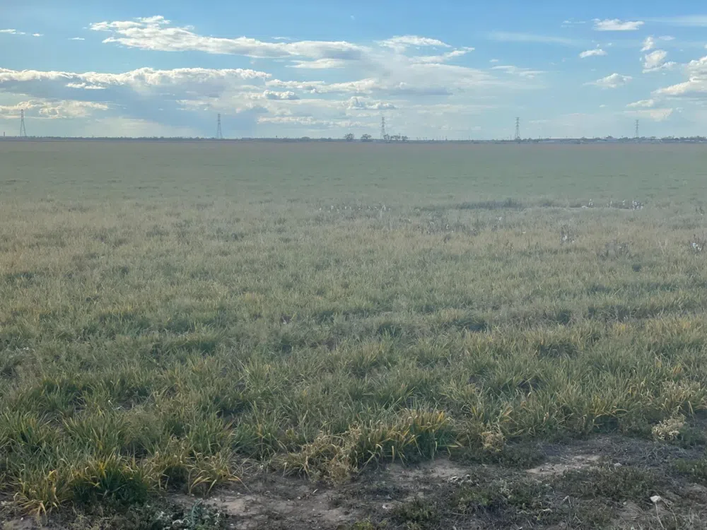 FM 1729 ROAD Idalou, TX 79329