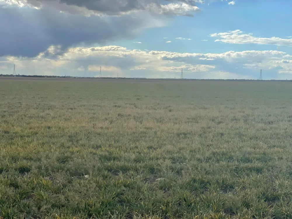 FM 1729 ROAD Idalou, TX 79329