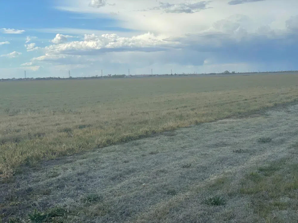 FM 1729 ROAD Idalou, TX 79329