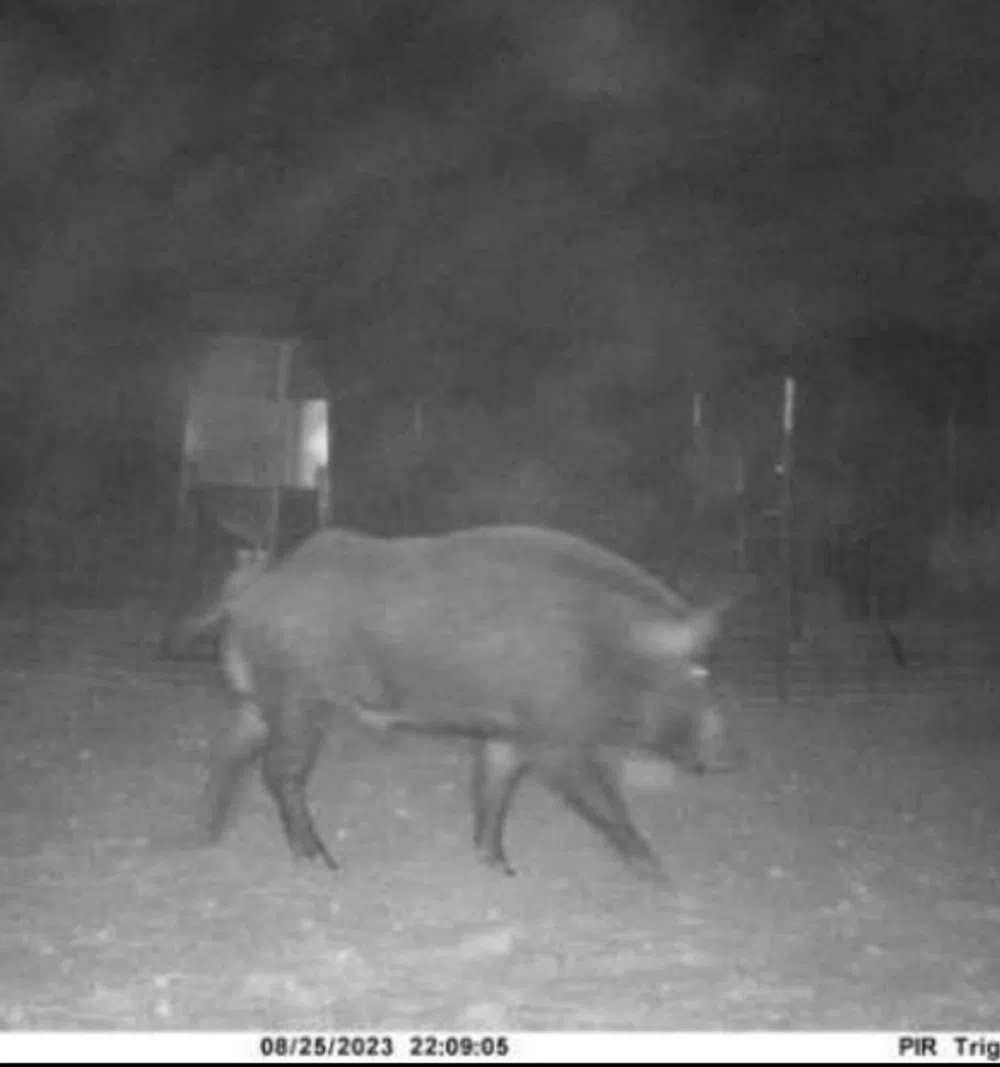 County Road O Lamesa, TX 79331