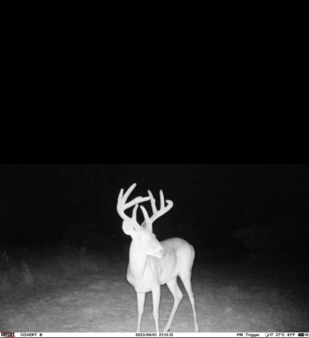 County Road O Lamesa, TX 79331